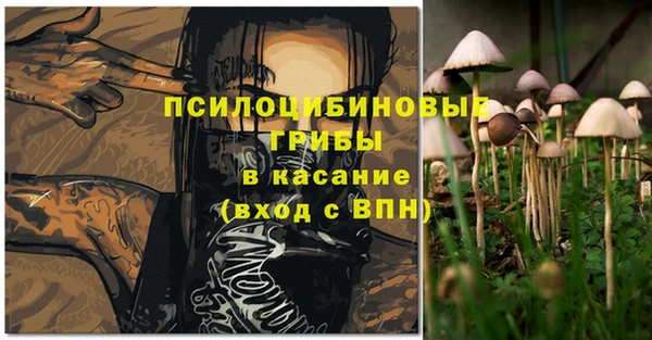 первитин Белокуриха