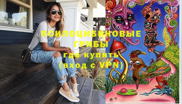 первитин Белокуриха