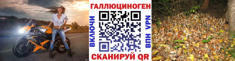 где можно купить наркотик  Вышний Волочёк  Галлюциногенные грибы мухоморы 